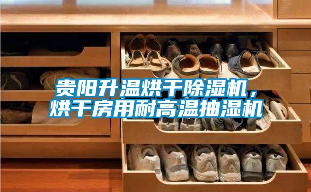 貴陽升溫烘干除濕機(jī)，烘干房用耐高溫抽濕機(jī)