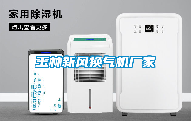 玉林新風(fēng)換氣機(jī)廠家