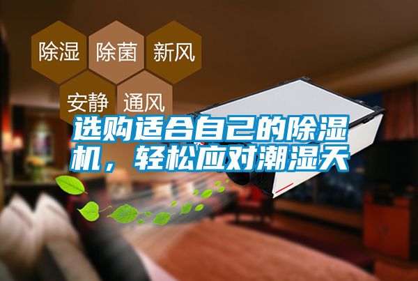 選購適合自己的除濕機(jī)，輕松應(yīng)對潮濕天