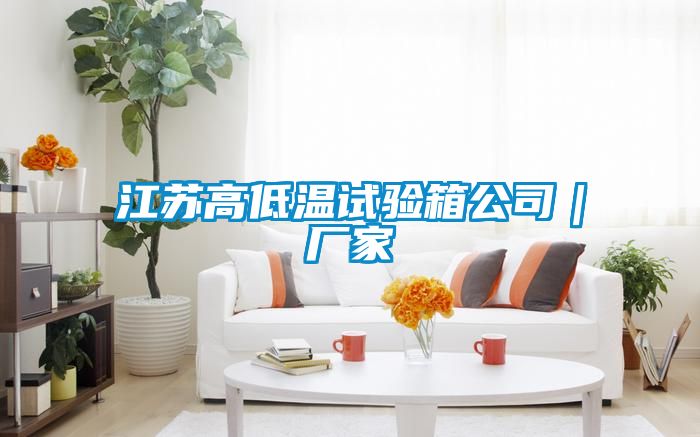 江蘇高低溫試驗(yàn)箱公司｜廠家
