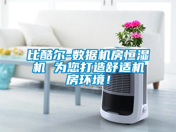 比酷爾-數(shù)據(jù)機(jī)房恒濕機(jī) 為您打造舒適機(jī)房環(huán)境！