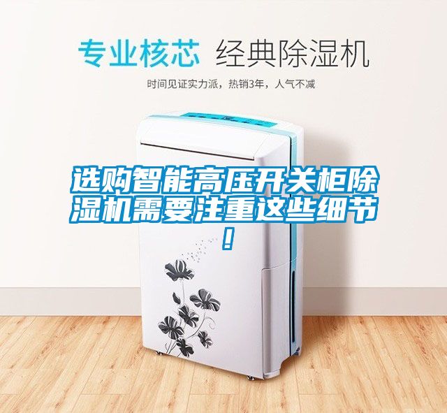選購智能高壓開關(guān)柜除濕機(jī)需要注重這些細(xì)節(jié)！
