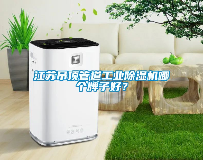 江蘇吊頂管道工業(yè)除濕機哪個牌子好？