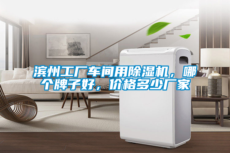 濱州工廠車間用除濕機(jī)，哪個牌子好，價(jià)格多少廠家