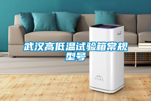 武漢高低溫試驗箱常規(guī)型號