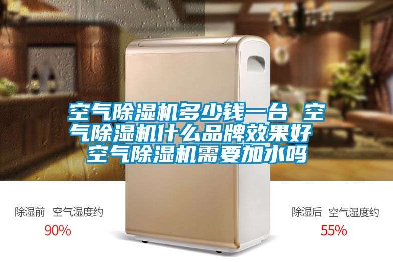 空氣除濕機(jī)多少錢一臺 空氣除濕機(jī)什么品牌效果好 空氣除濕機(jī)需要加水嗎