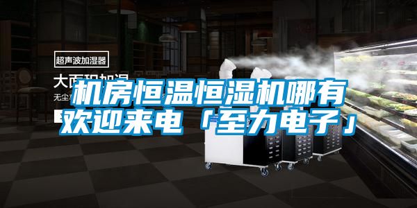 機(jī)房恒溫恒濕機(jī)哪有歡迎來電「至力電子」