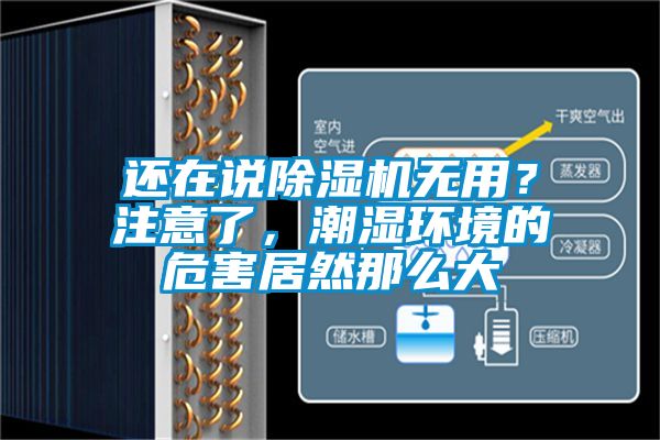 還在說除濕機無用？注意了，潮濕環(huán)境的危害居然那么大