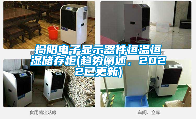 揭陽電子顯示器件恒溫恒濕儲存柜(趨勢闡述，2022已更新)