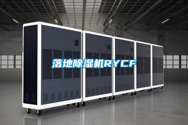 落地除濕機(jī)RYCF
