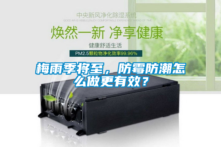 梅雨季將至，防霉防潮怎么做更有效？