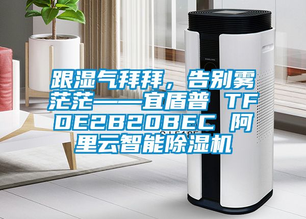 跟濕氣拜拜，告別霧茫?！硕芷?TFDE2B20BEC 阿里云智能除濕機