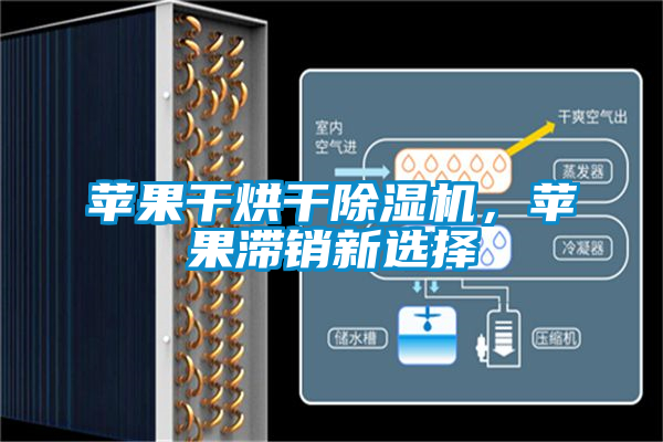 蘋(píng)果干烘干除濕機(jī)，蘋(píng)果滯銷(xiāo)新選擇