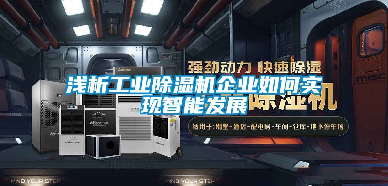 淺析工業(yè)除濕機企業(yè)如何實現(xiàn)智能發(fā)展