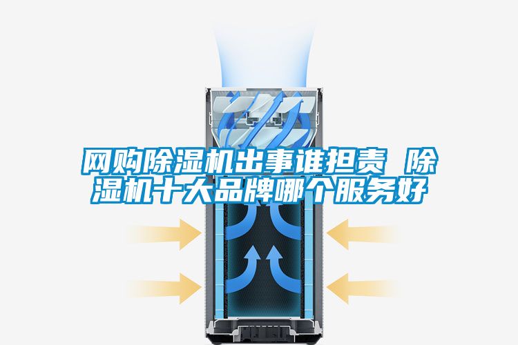 網(wǎng)購除濕機出事誰擔責 除濕機十大品牌哪個服務好