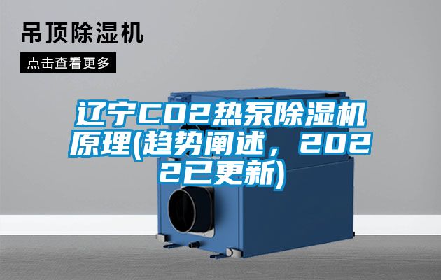 遼寧CO2熱泵除濕機原理(趨勢闡述，2022已更新)