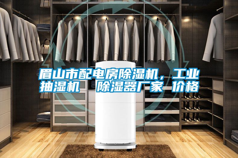 眉山市配電房除濕機(jī)，工業(yè)抽濕機(jī)  除濕器廠家 價格