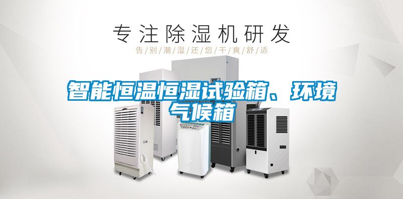 智能恒溫恒濕試驗箱、環(huán)境氣候箱