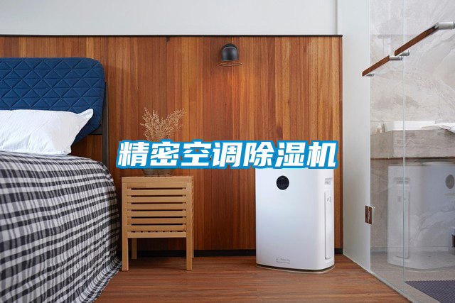 精密空調(diào)除濕機(jī)