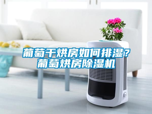 葡萄干烘房如何排濕？葡萄烘房除濕機(jī)