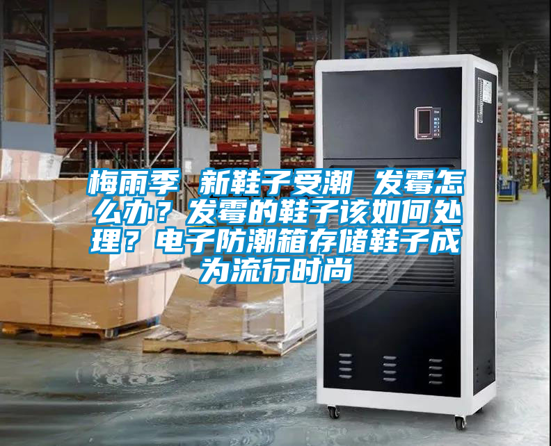 梅雨季 新鞋子受潮 發(fā)霉怎么辦？發(fā)霉的鞋子該如何處理？電子防潮箱存儲鞋子成為流行時尚
