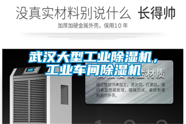 武漢大型工業(yè)除濕機，工業(yè)車間除濕機