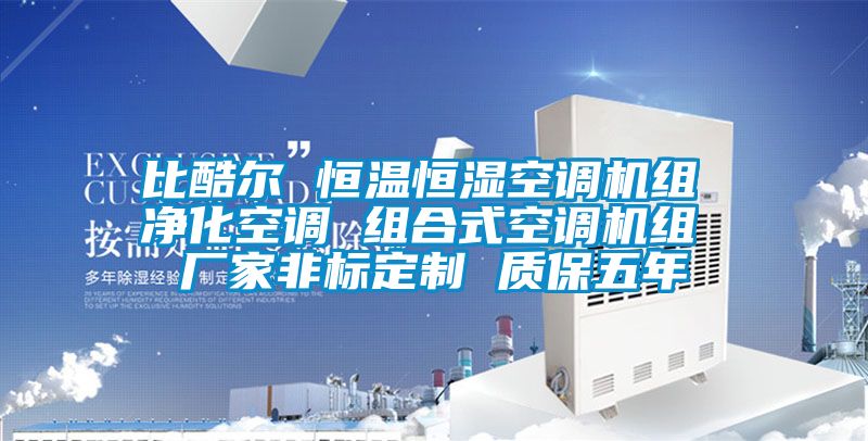 比酷爾 恒溫恒濕空調(diào)機組 凈化空調(diào) 組合式空調(diào)機組 廠家非標定制 質(zhì)保五年