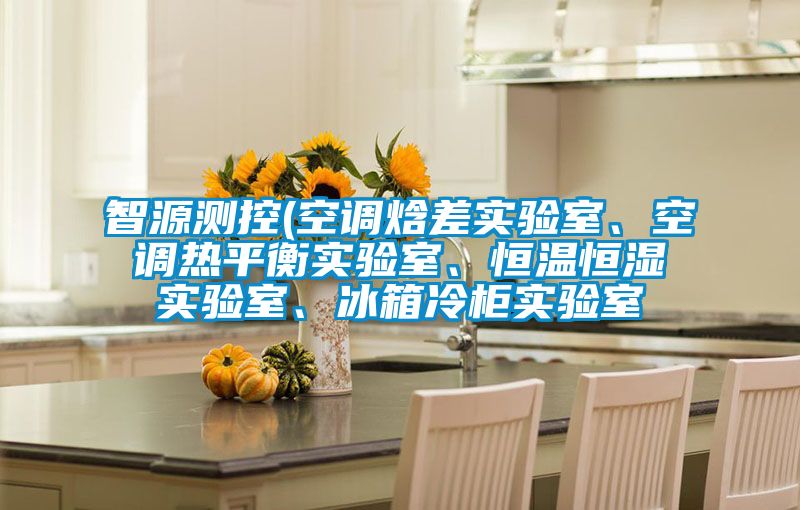 智源測(cè)控(空調(diào)焓差實(shí)驗(yàn)室、空調(diào)熱平衡實(shí)驗(yàn)室、恒溫恒濕實(shí)驗(yàn)室、冰箱冷柜實(shí)驗(yàn)室