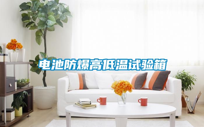 電池防爆高低溫試驗(yàn)箱