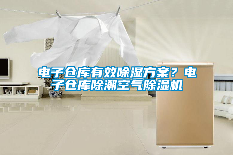 電子倉(cāng)庫(kù)有效除濕方案？電子倉(cāng)庫(kù)除潮空氣除濕機(jī)