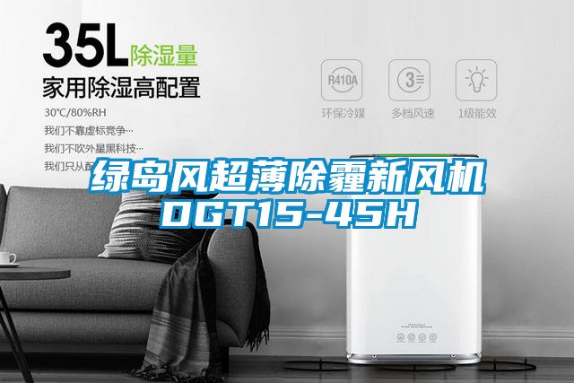 綠島風(fēng)超薄除霾新風(fēng)機DGT15-45H