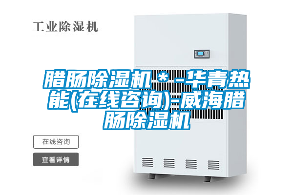 臘腸除濕機(jī)＊-華青熱能(在線咨詢(xún))-威海臘腸除濕機(jī)