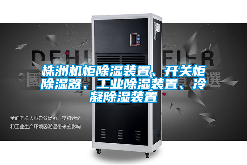 株洲機柜除濕裝置、開關柜除濕器、工業(yè)除濕裝置、冷凝除濕裝置
