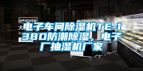 電子車間除濕機TE-138D防潮除濕，電子廠抽濕機廠家
