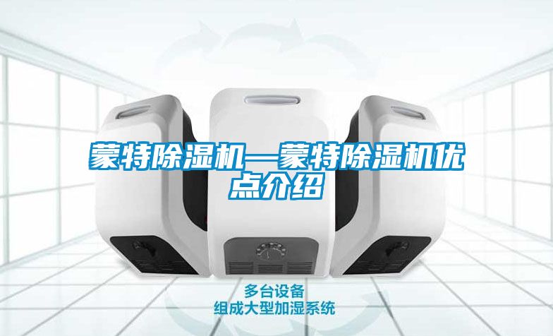 蒙特除濕機(jī)—蒙特除濕機(jī)優(yōu)點(diǎn)介紹