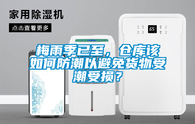 梅雨季已至，倉庫該如何防潮以避免貨物受潮受損？