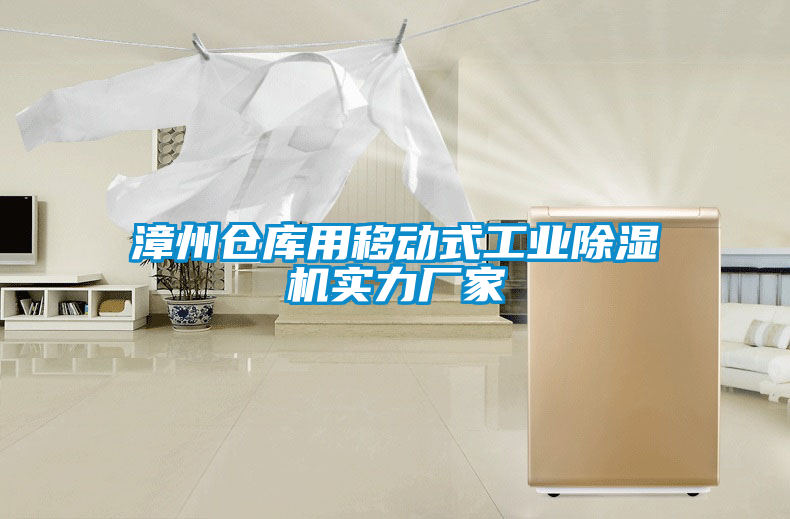 漳州倉庫用移動(dòng)式工業(yè)除濕機(jī)實(shí)力廠家