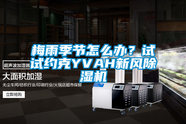 梅雨季節(jié)怎么辦？試試約克YVAH新風(fēng)除濕機