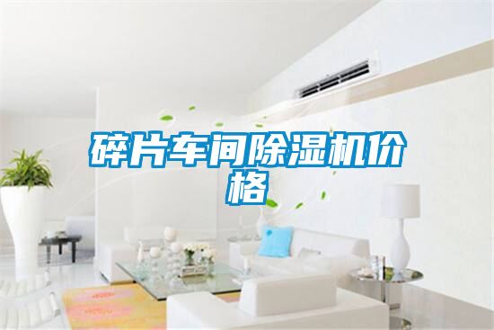 碎片車間除濕機(jī)價格