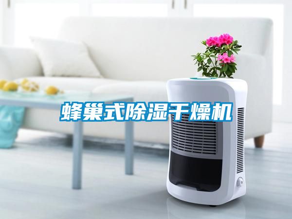 蜂巢式除濕干燥機(jī)