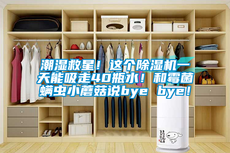 潮濕救星！這個(gè)除濕機(jī)一天能吸走40瓶水！和霉菌螨蟲(chóng)小蘑菇說(shuō)bye bye！