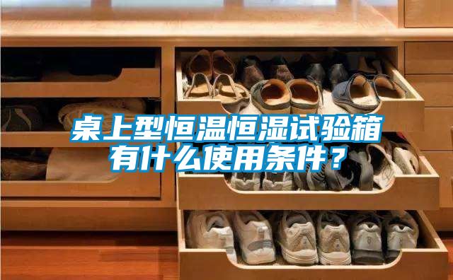 桌上型恒溫恒濕試驗(yàn)箱有什么使用條件？