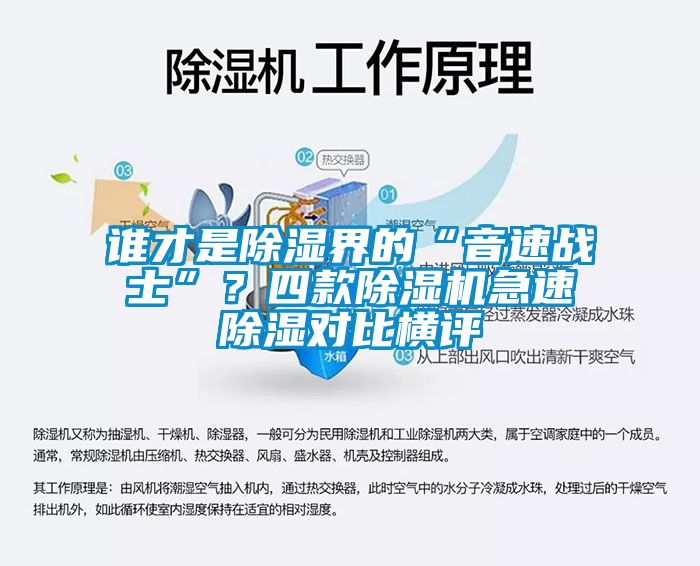 誰才是除濕界的“音速戰(zhàn)士”？四款除濕機急速除濕對比橫評