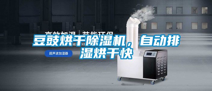豆豉烘干除濕機(jī)，自動(dòng)排濕烘干快