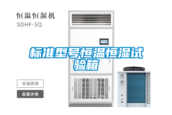 標(biāo)準(zhǔn)型號(hào)恒溫恒濕試驗(yàn)箱