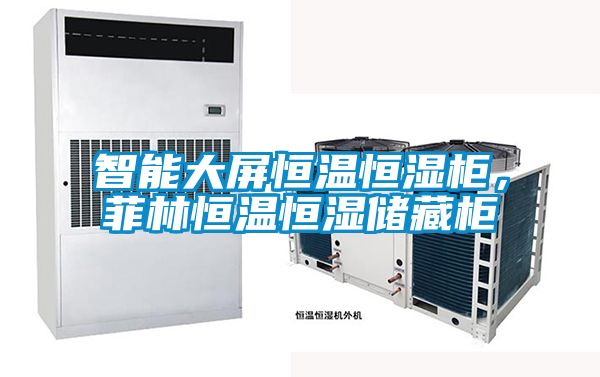 智能大屏恒溫恒濕柜，菲林恒溫恒濕儲藏柜