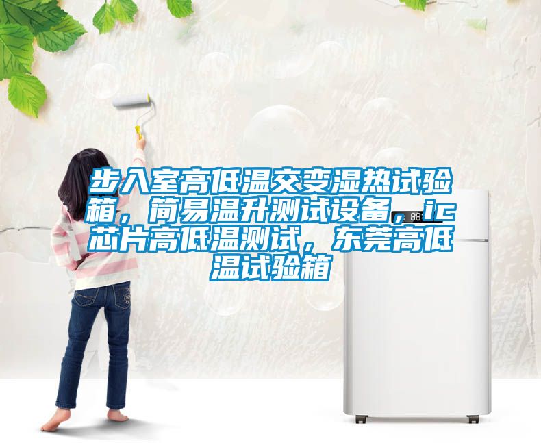 步入室高低溫交變濕熱試驗箱，簡易溫升測試設備，ic芯片高低溫測試，東莞高低溫試驗箱