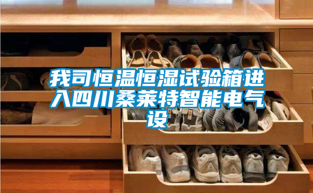 我司恒溫恒濕試驗箱進入四川桑萊特智能電氣設(shè)