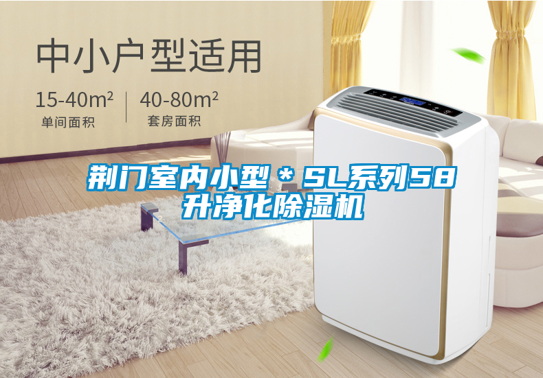 荊門室內(nèi)小型＊SL系列58升凈化除濕機