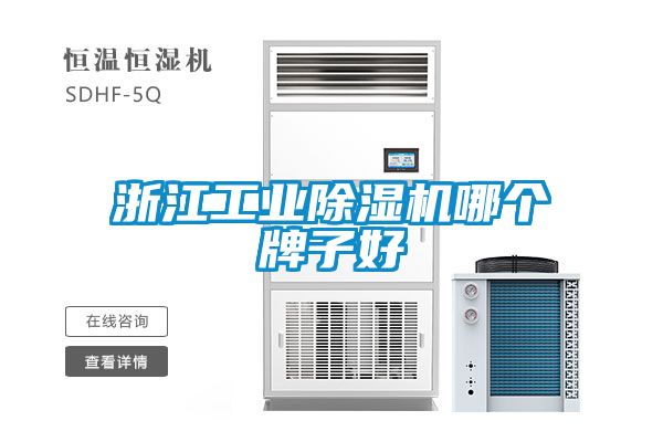 浙江工業(yè)除濕機(jī)哪個牌子好